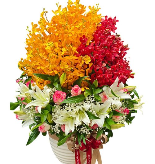 special mothers day orchids 10
