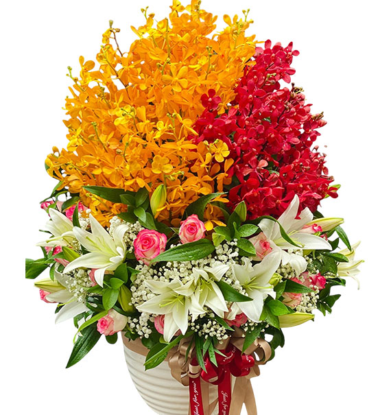 special mothers day orchids 10