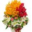 tet flowers 34a