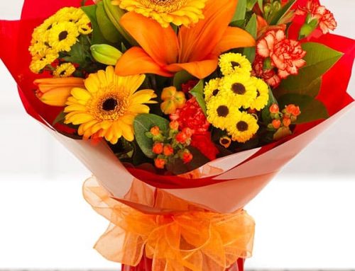 Available At Vietnamese Christmas Flowers