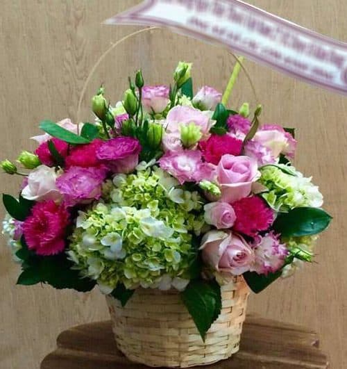christmas-flowers-vietnam-30
