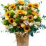 christmas flowers vietnam 36a