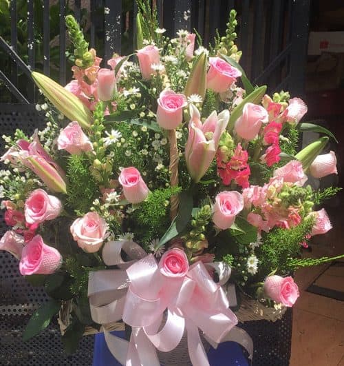christmas-flowers-vietnam-39