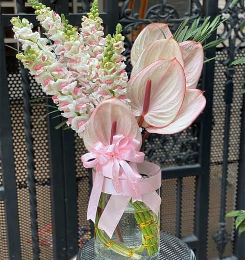 christmas-flowers-vietnam-45