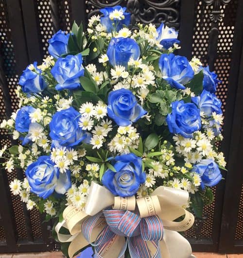 christmas-flowers-vietnam-48