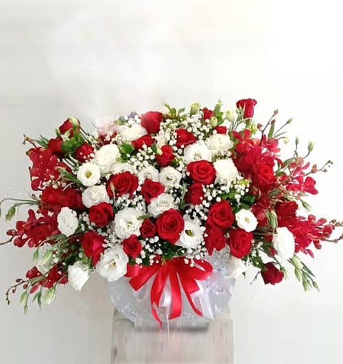 christmas-flowers-vietnam-73