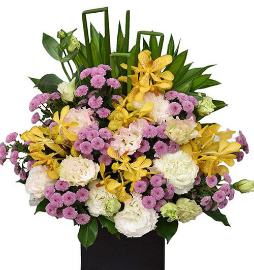 christmas flowers vietnam 96