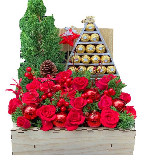 christmas flowers vietnam