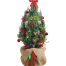 fresh christmas tree vietnam 16