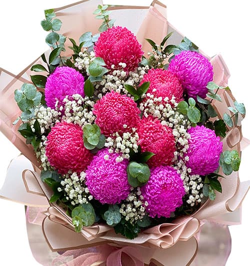 peony flowers valentine vietnam 4