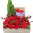 special christmas flower vietnam 02