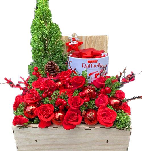 special christmas flower vietnam 02
