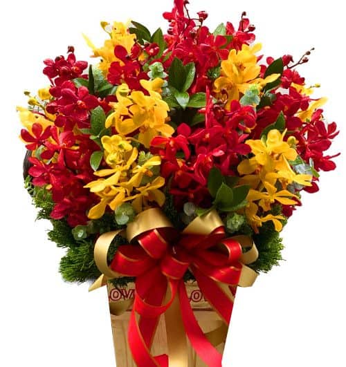 tet flowers 015