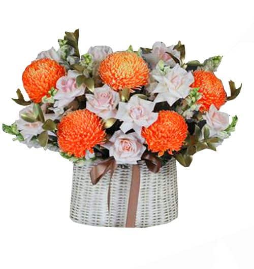 peony chrys flowers 017