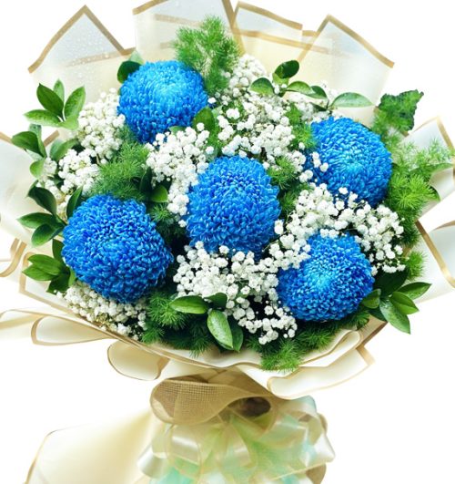 peony chrys flowers 07