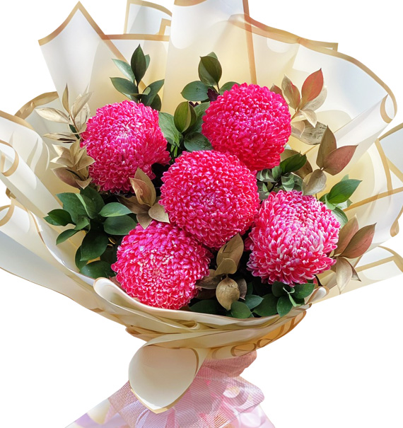 peony chrys flowers 15