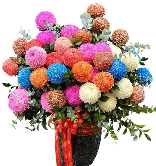 peony chrys flowers vietnam 03