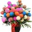 peony chrys flowers vietnam 03