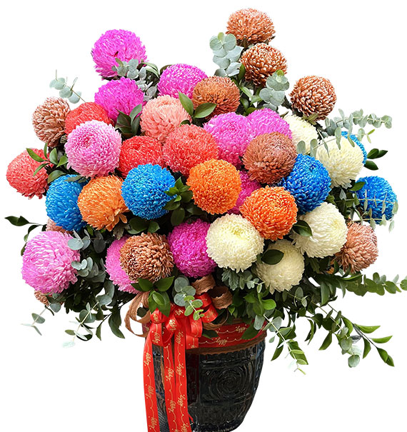 peony chrys flowers vietnam 03