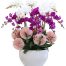 special orchids for tet 09a