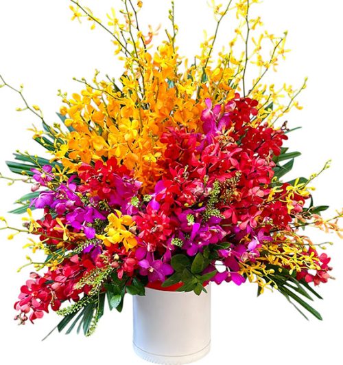 special mothers day orchids 03