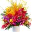 special mothers day orchids 03
