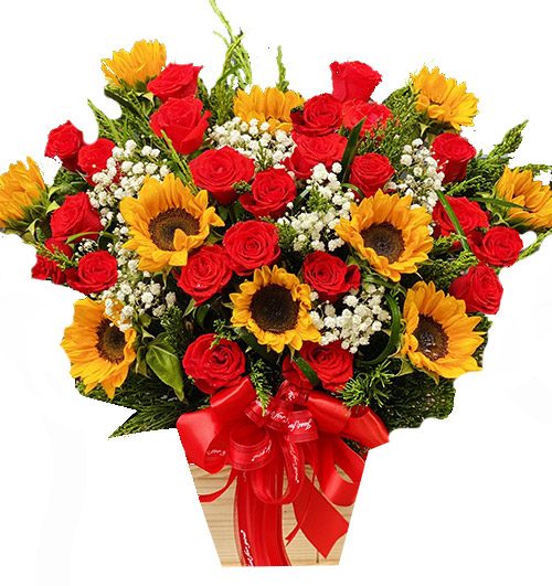 special roses for mom 017