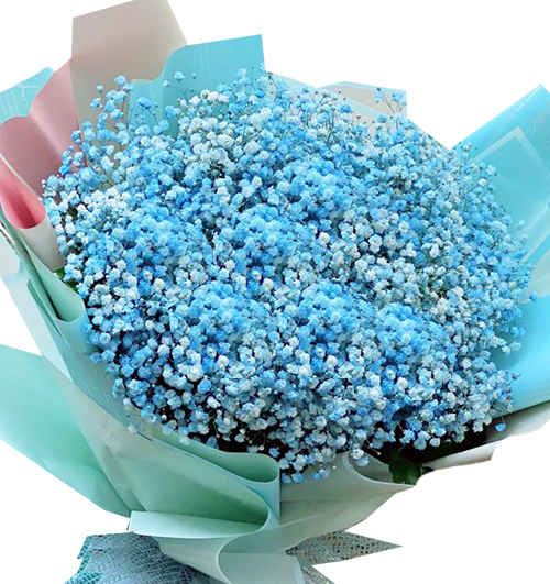 flowers for dad 012 500x531