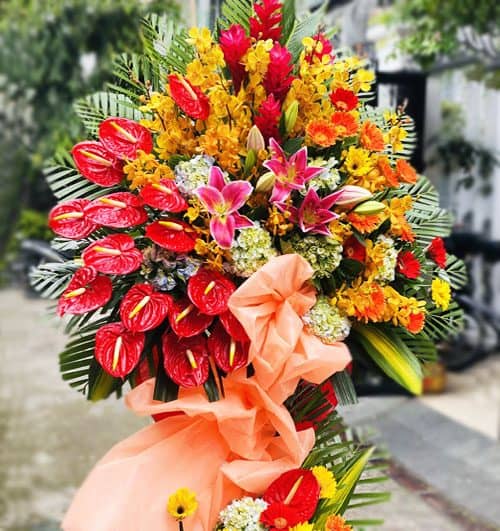 dat-hoa-khai-truong