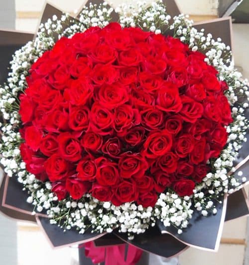 send-flowers-to-ha-giang