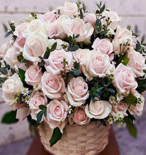 send-flowers-to-ha-nam