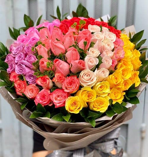 vietnam-roses