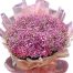 special vietnamese womens day flowers 08