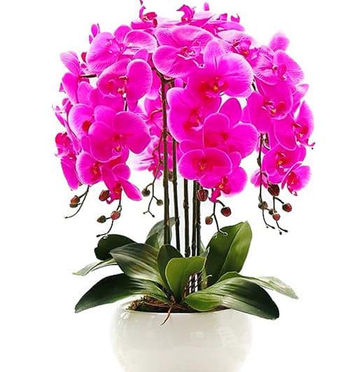 potted orchids artificial flowers 03