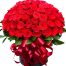 roses for valentine vietnam 05