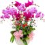 womens day potted orchids vietnam 12a