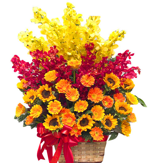 Orchids Mom 03