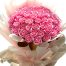 eternal roses for womens day vietnam 05