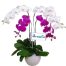 orchids for dad 14 500x531