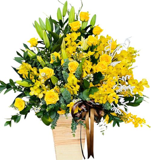 Special Mother’s Day Orchids 13