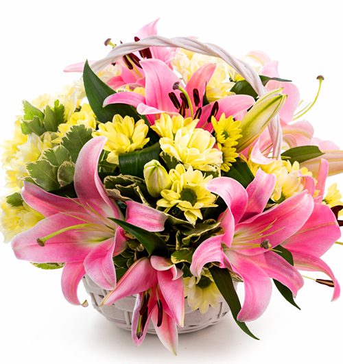 lilies-flowers-08