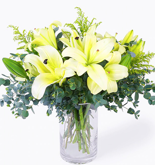lilies-flowers-12