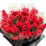 red orchid 06 500x531