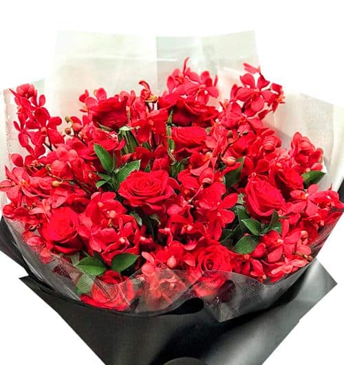 red orchid 06 500x531