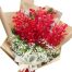 red orchid 07 500x531