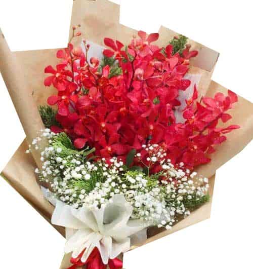 red orchid 07 500x531