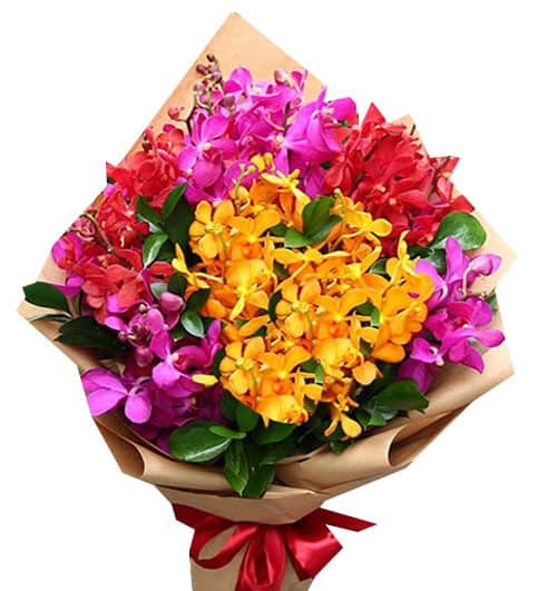 sunset mix orchid 07 500x531