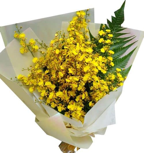 yellow orchid 05 500x531