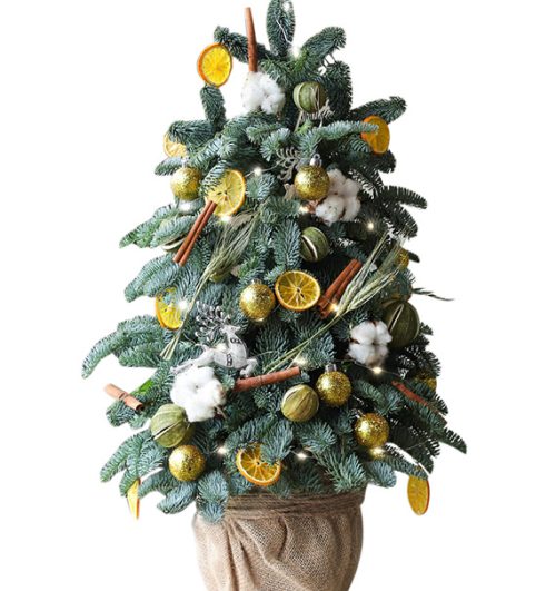 fresh christmas tree 024