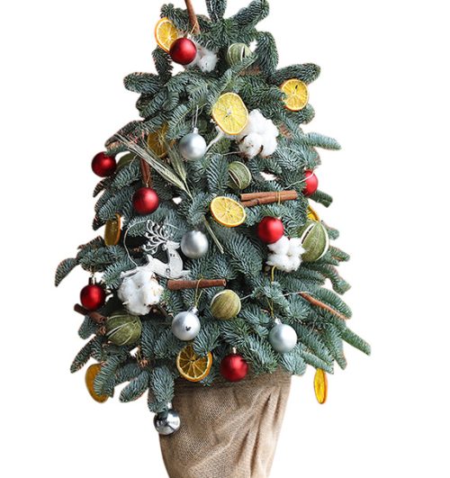 fresh christmas tree 025